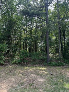 Land in Fairfield Bay, AR