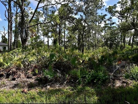 Residential Land in North Port