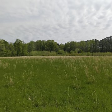 Lakeland Land For Sale
