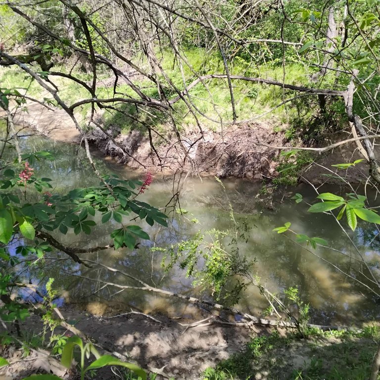 Picture 13