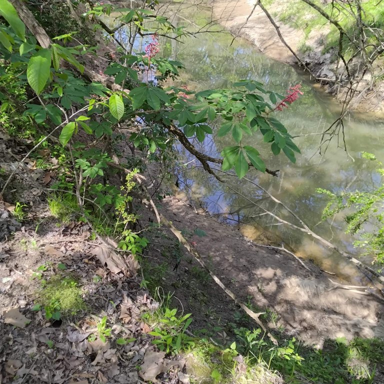 Picture 14