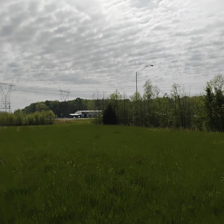 Picture 5