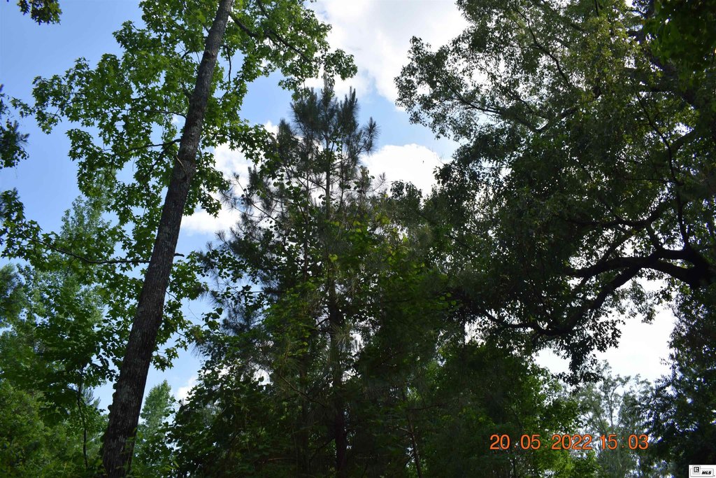 Picture 12