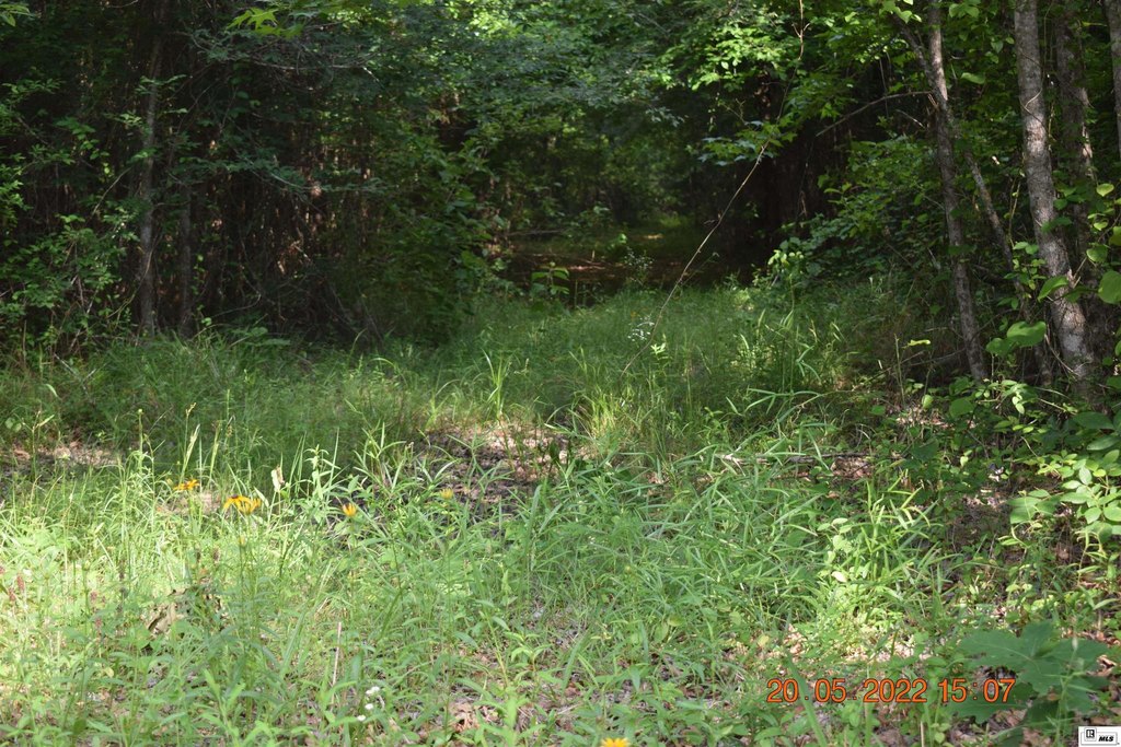 Picture 16