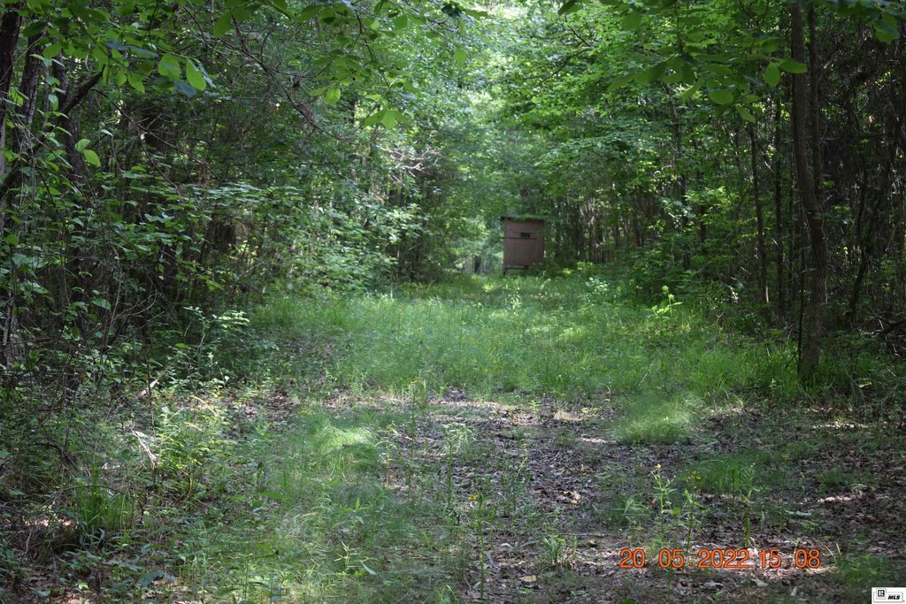 Picture 18