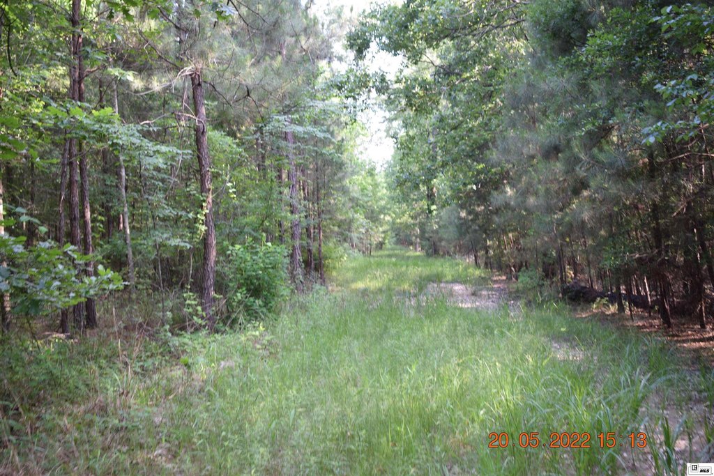 Picture 24