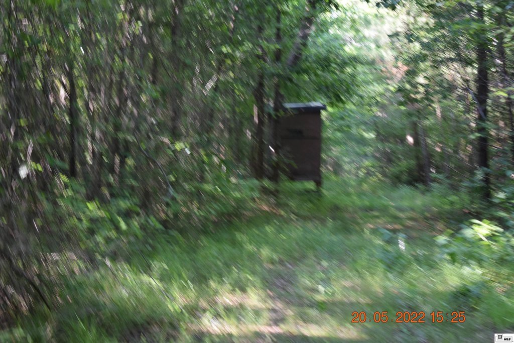 Picture 21