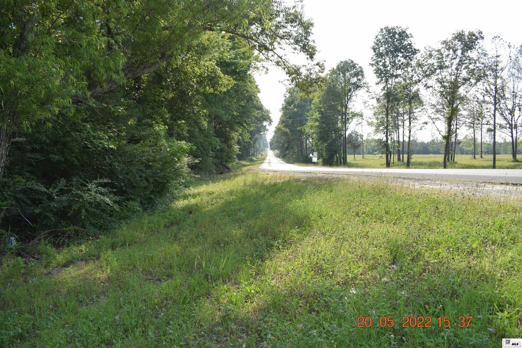 Picture 30