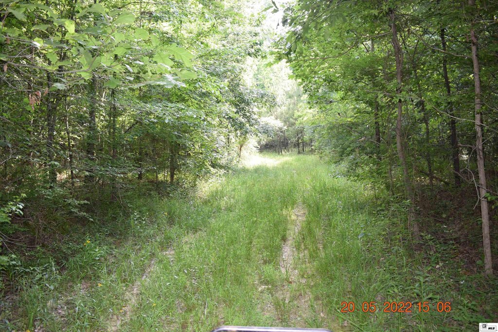 Picture 14