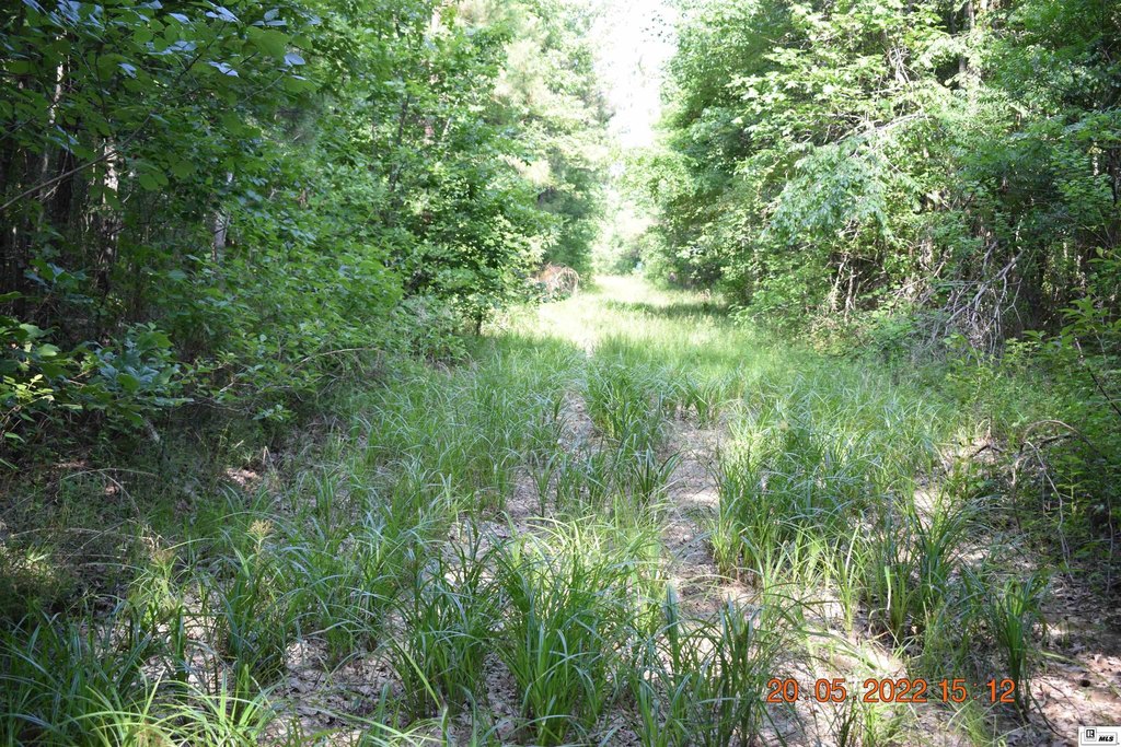 Picture 23