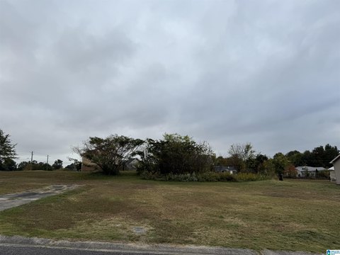Residential Lot in Birmingham