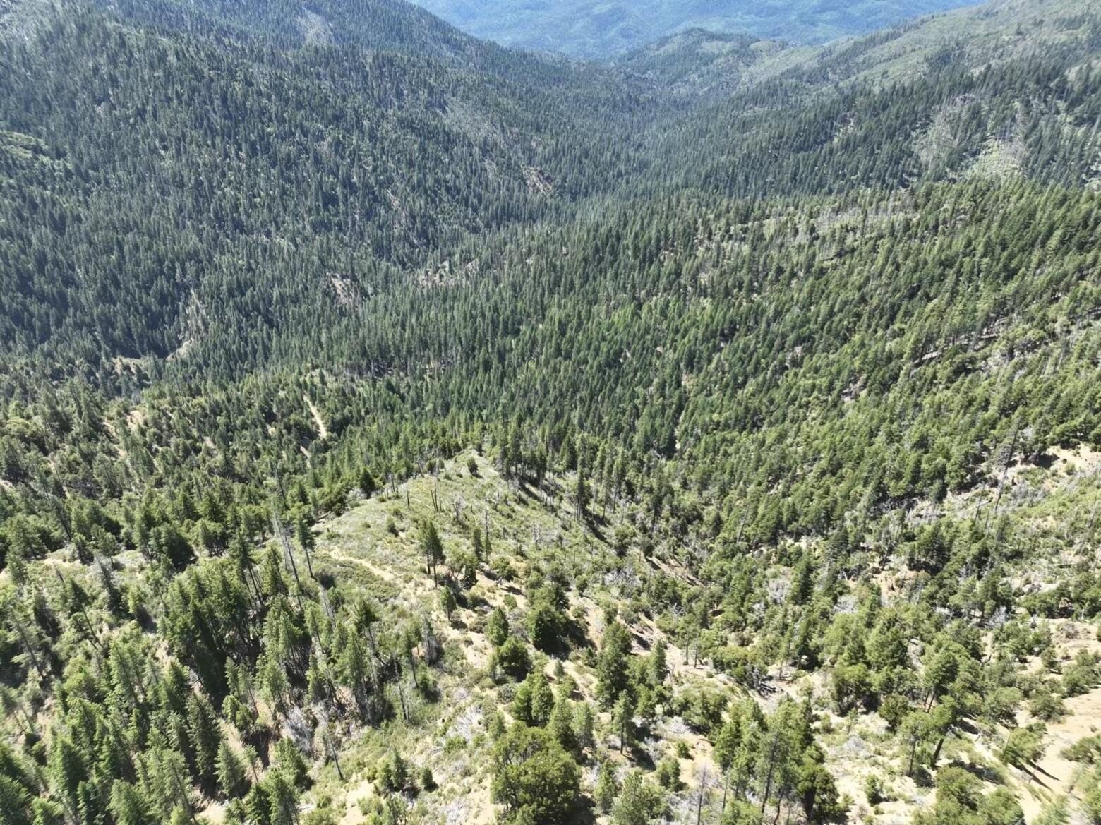 160 Acres Timber Preserve, Hyampom