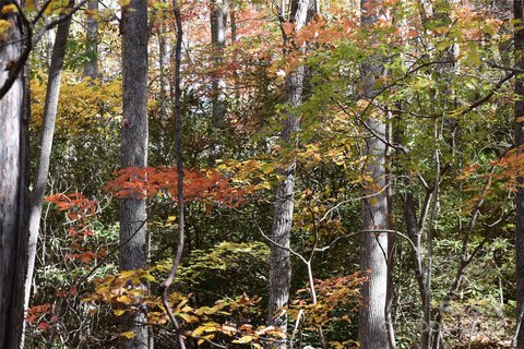 Land with Mountain Views