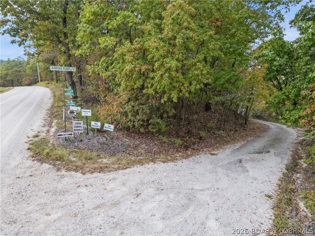 Picture 10