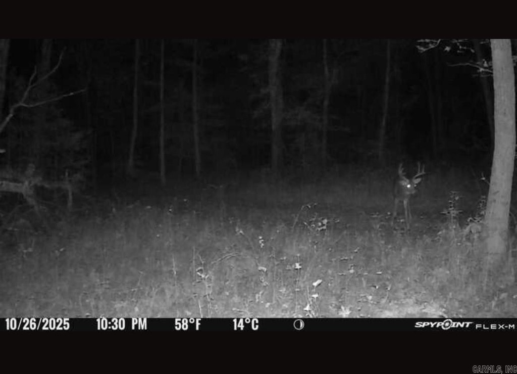 Picture 12