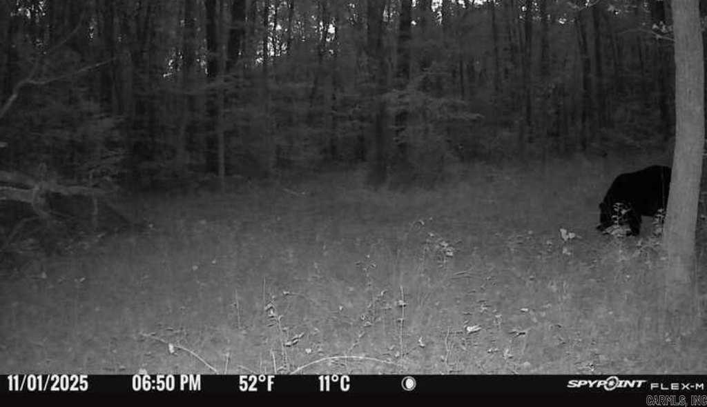 Picture 14
