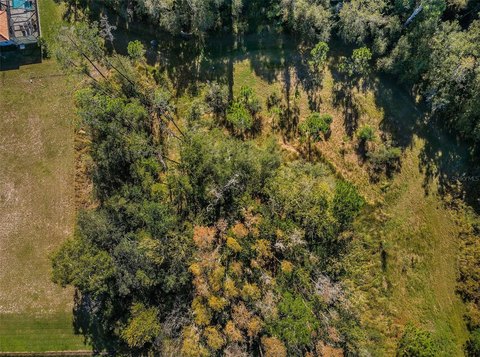 Land, PALM HARBOR, FL