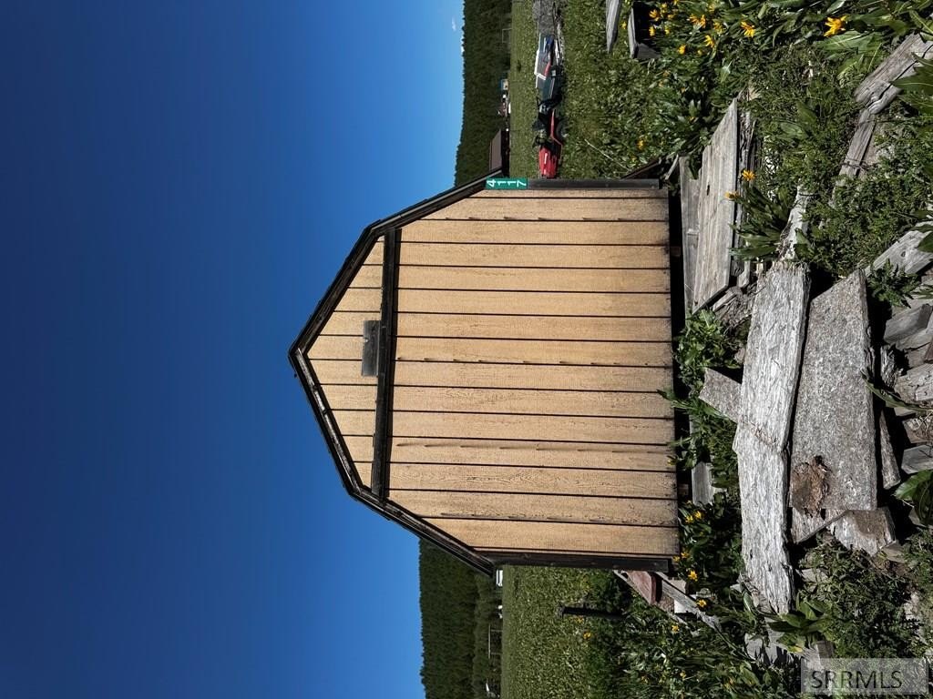 Picture 5