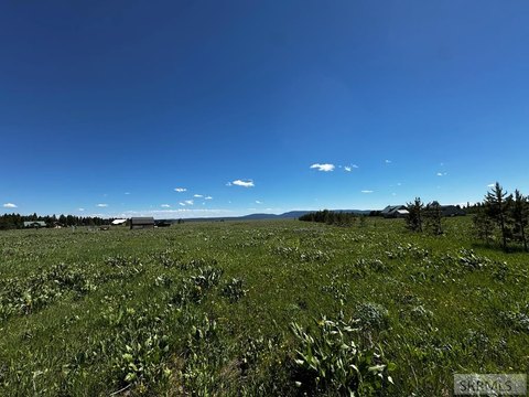 LAND - Island Park, ID