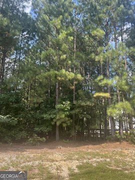 Residential Land in Loganville, GA