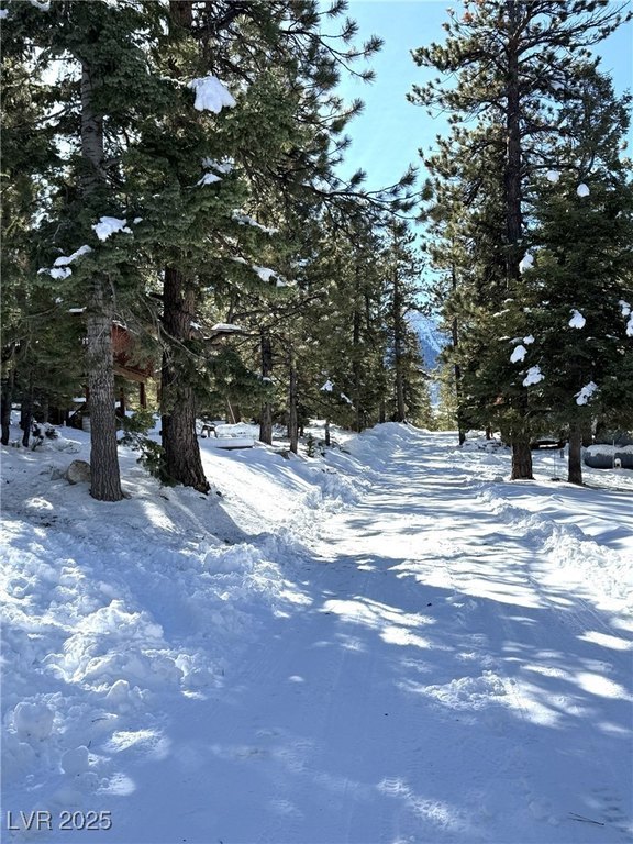 Picture 27