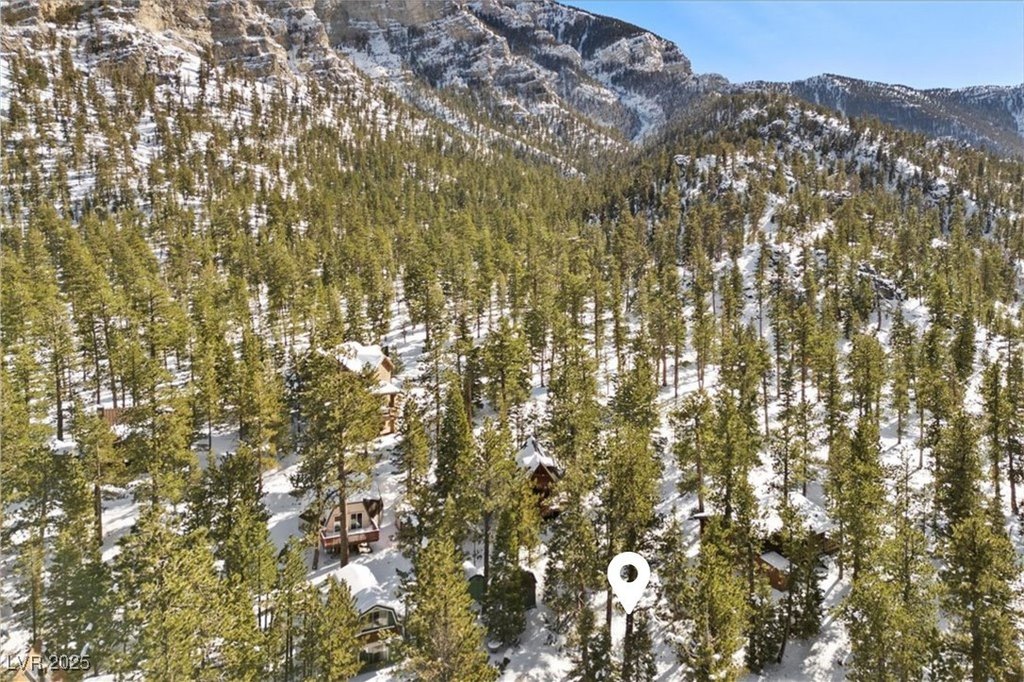 Picture 16