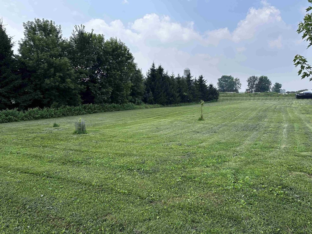 Picture 10