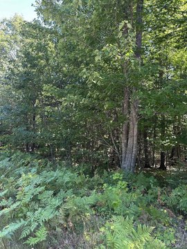 MARQUETTE, MI