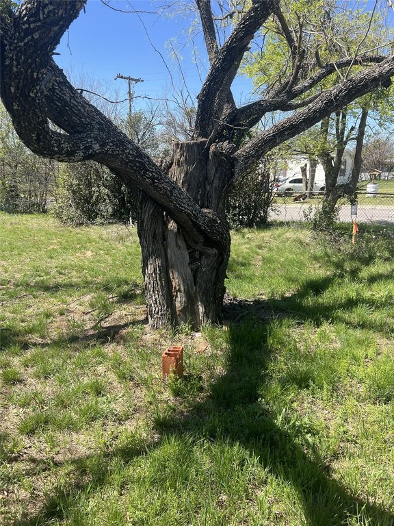 Picture 11