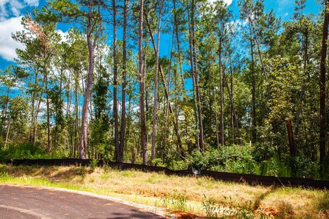Land in Desirable Sumter Woods