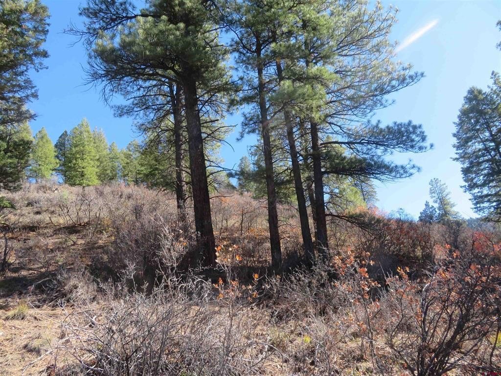 Land in Pagosa Springs, CO