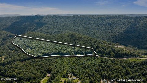 LAND - Pioneer, TN