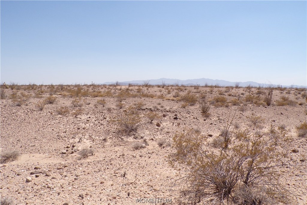 Picture 14