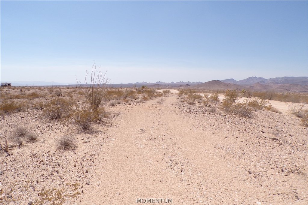Picture 11