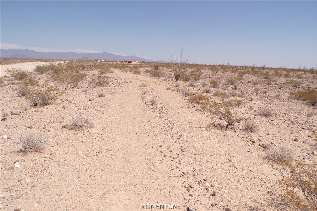 Picture 23