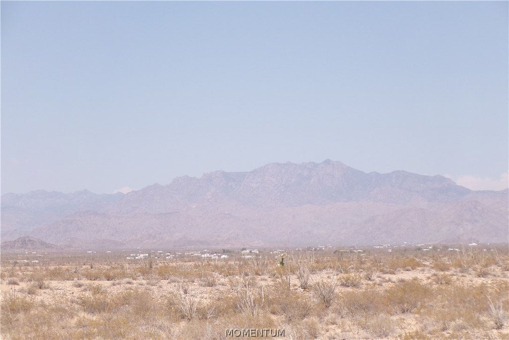 Picture 20