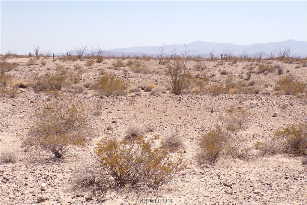 Picture 19