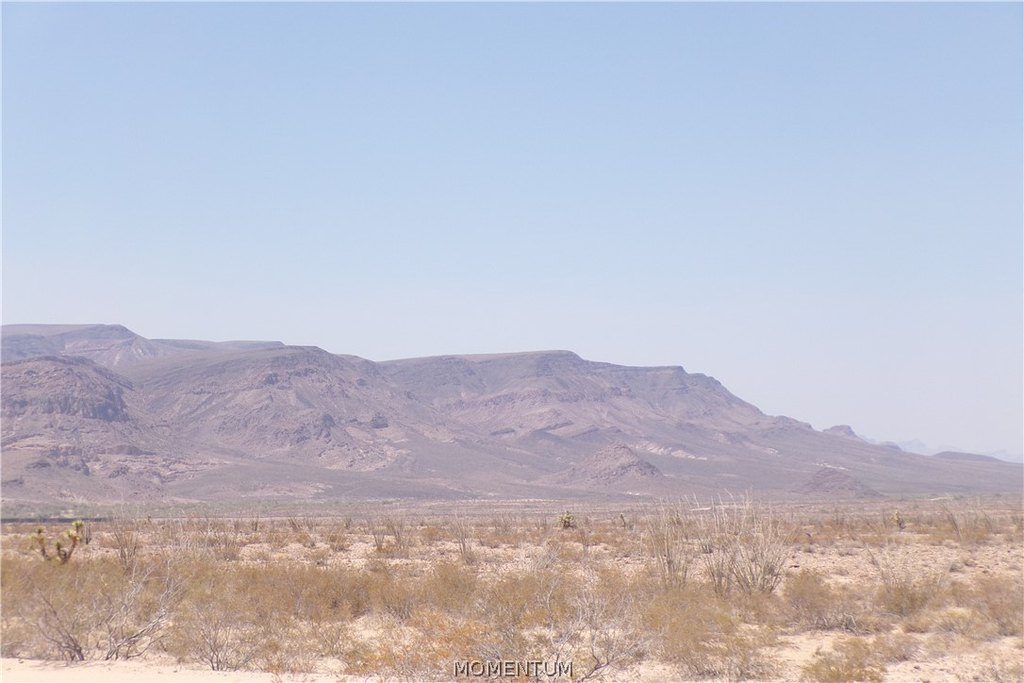 Picture 13