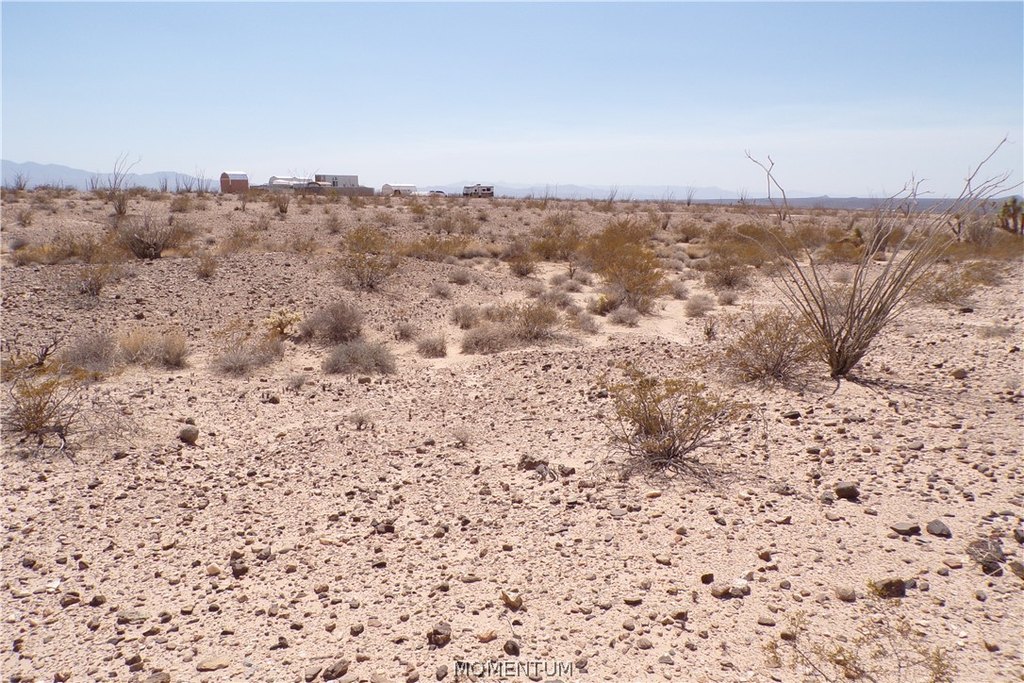 Picture 25