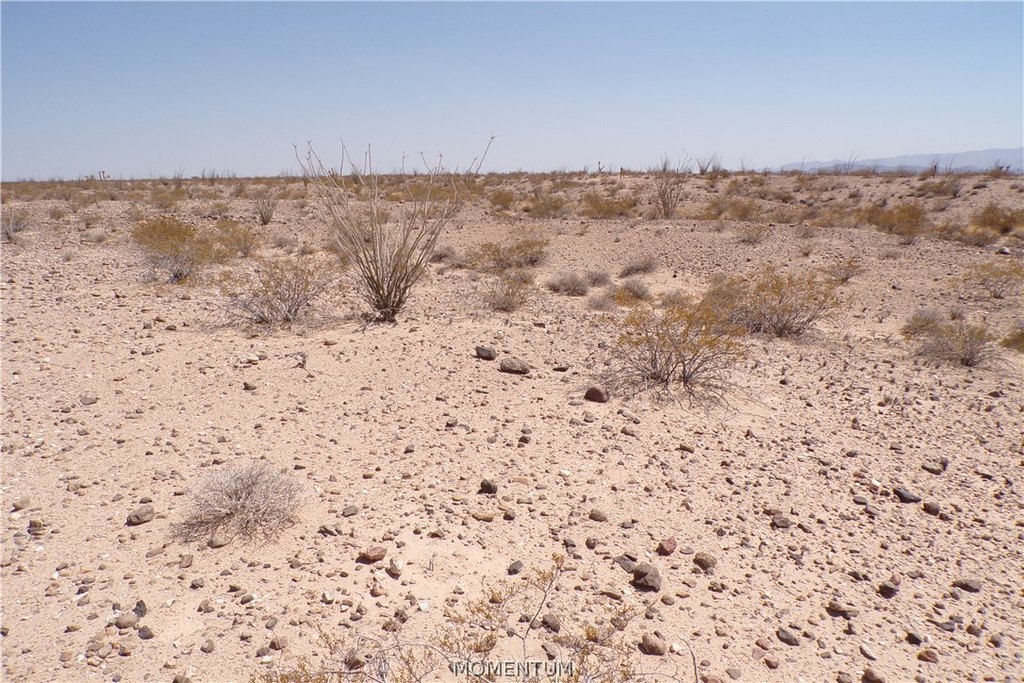 Picture 27