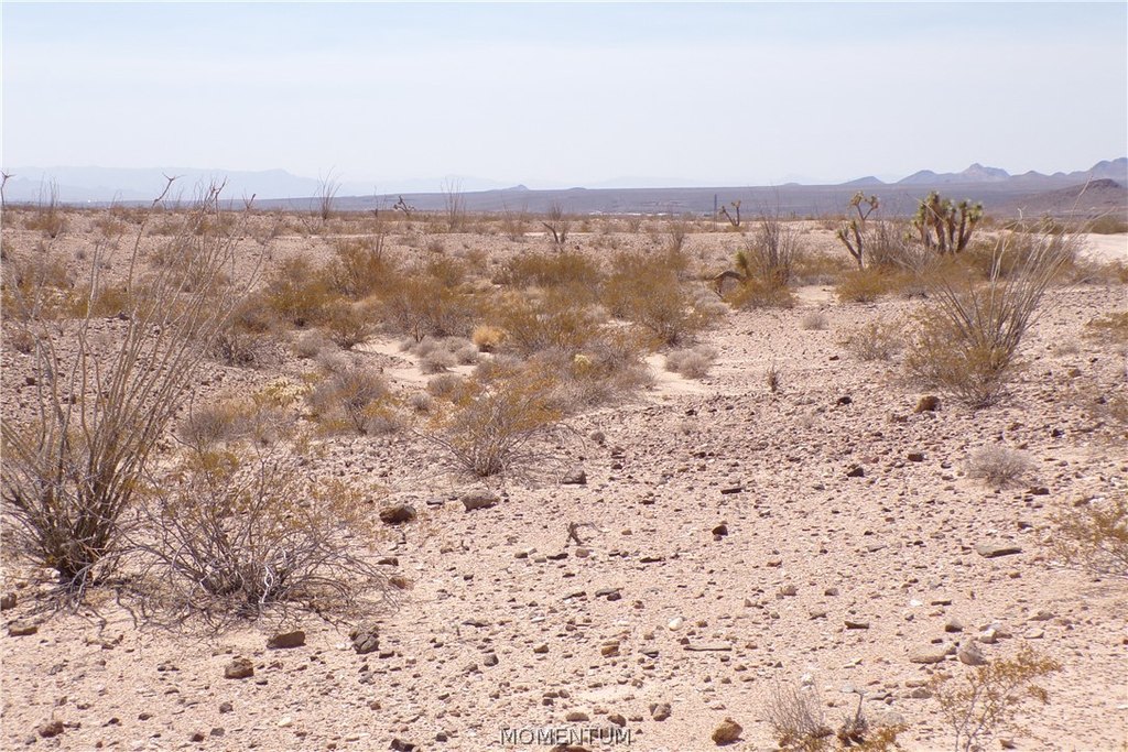 Picture 17