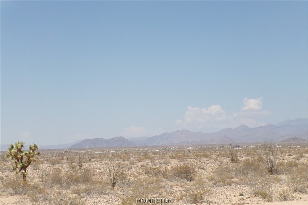 Picture 21
