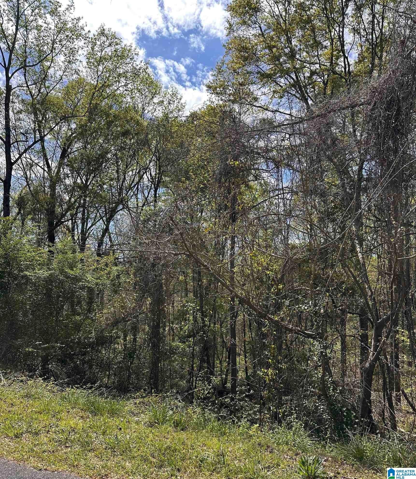 Lake Wedowee Off-Water Lot
