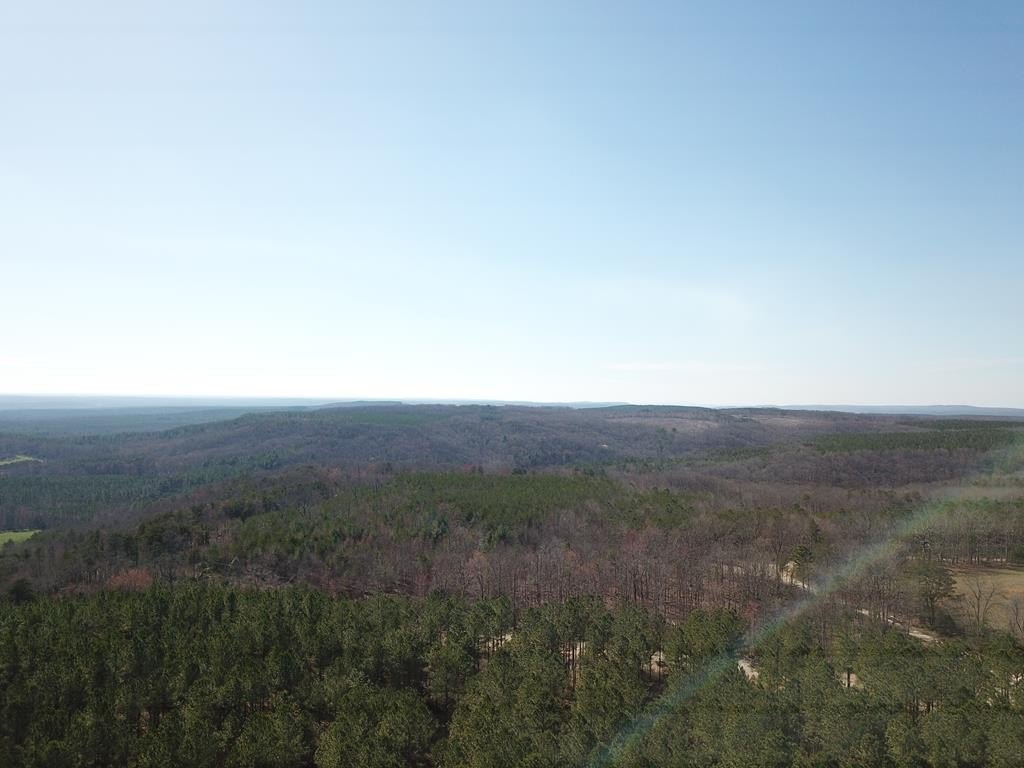 Crossville Land with Pine Timber