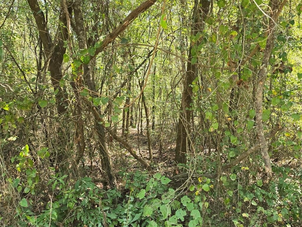 Picture 7