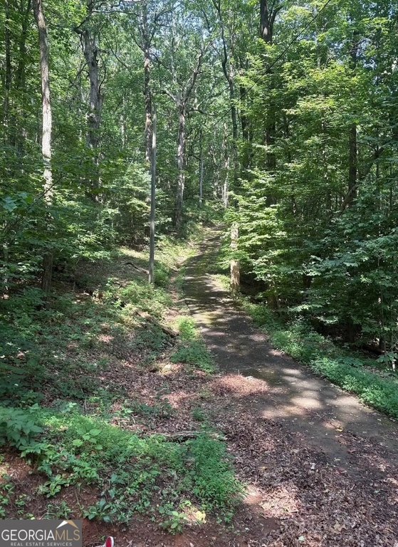 Picture 4