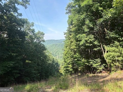 LAND - Jasper, GA