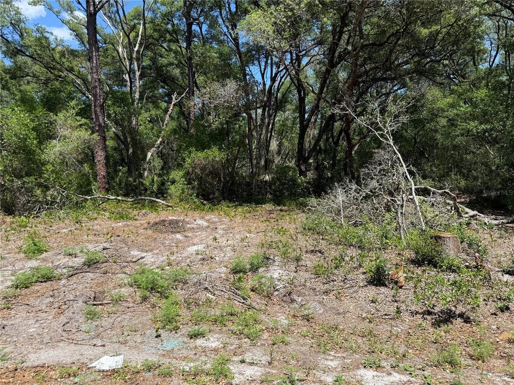 Picture 2