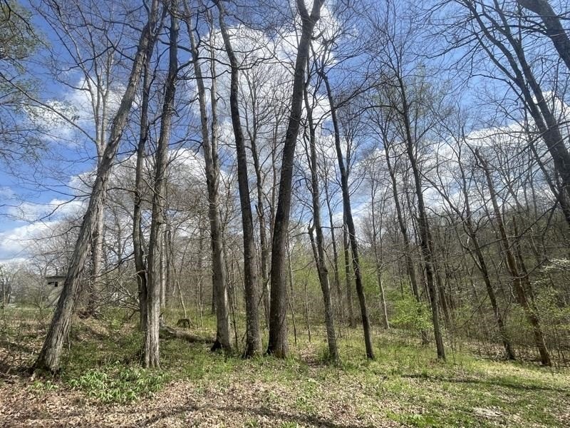 Picture 18