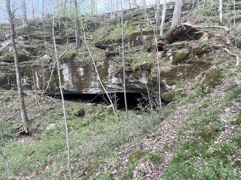 Picture 16